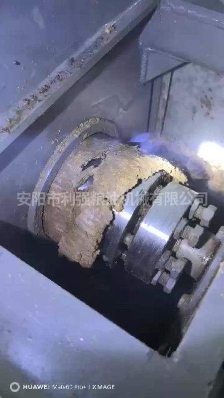 198動(dòng)物油螺旋榨油機